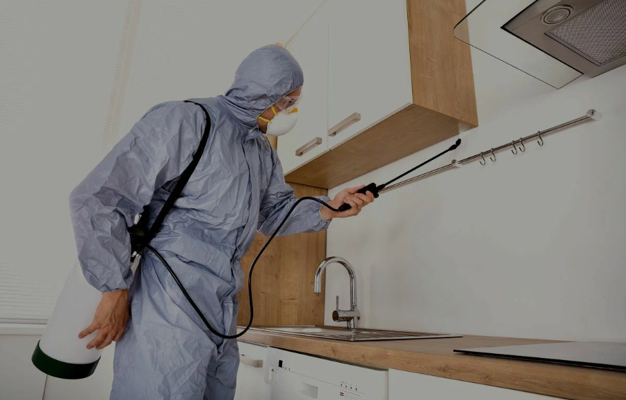 Phelan pest managment